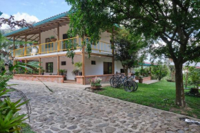 San Jose Coffee farm